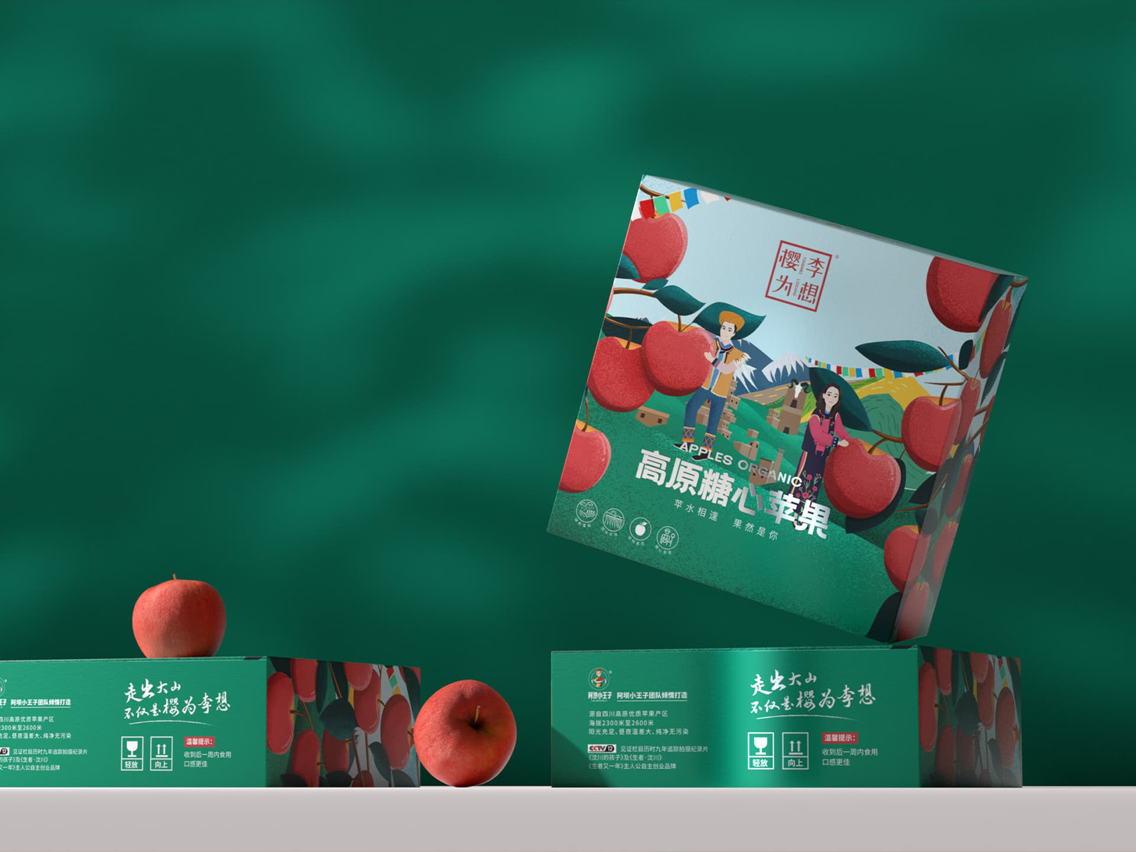 樱为李想项目主视觉